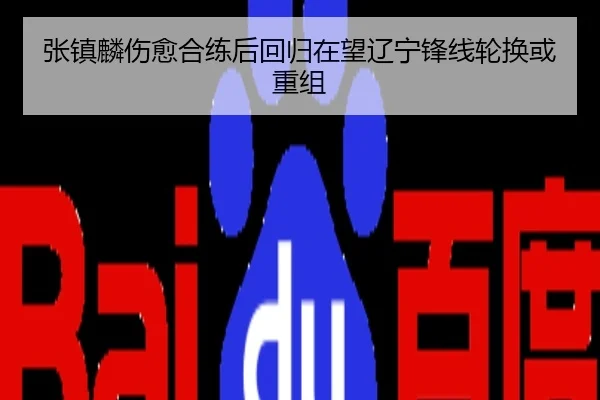 张镇麟伤愈合练后回归在望辽宁锋线轮换或重组